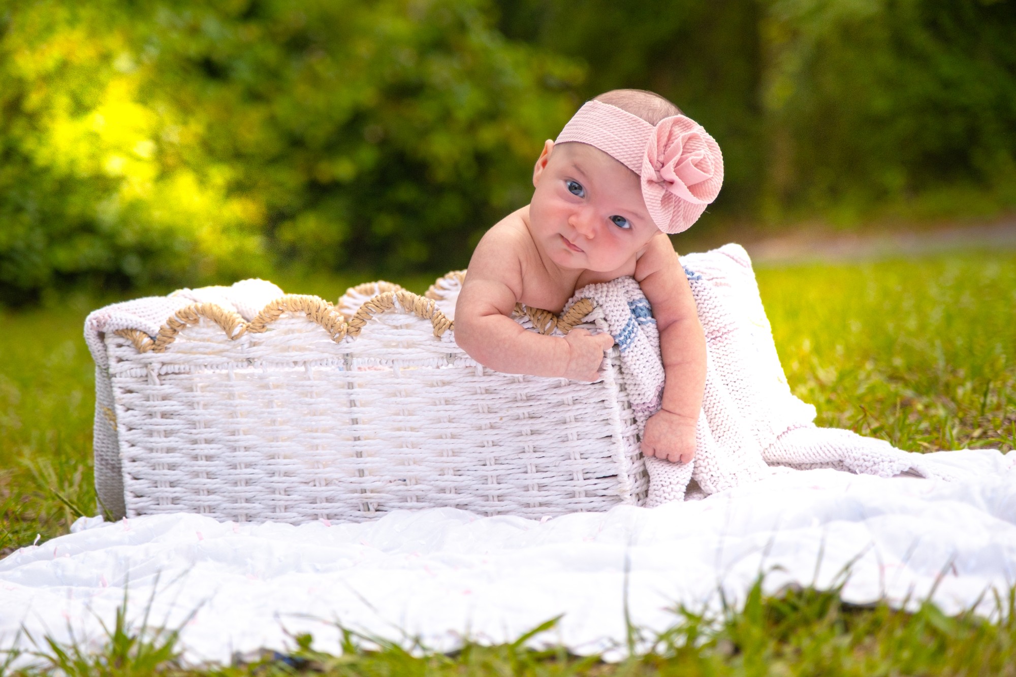Baby in basket